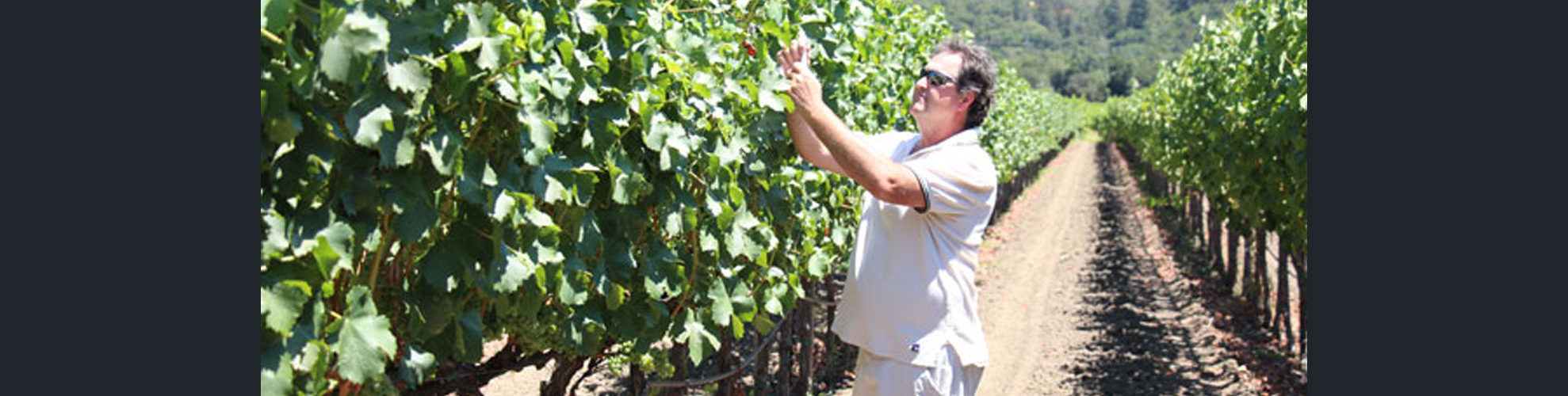 GeoVit VIneyard Services