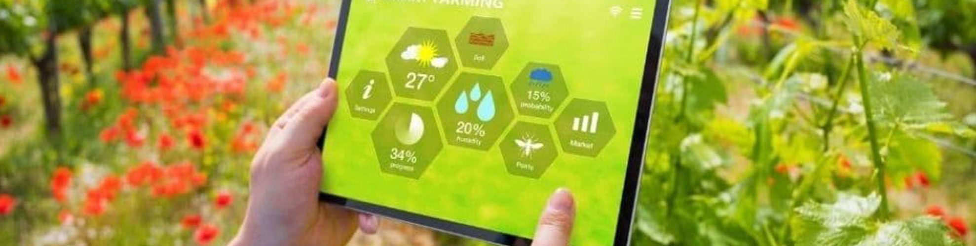 GeoVit Vineyard Services