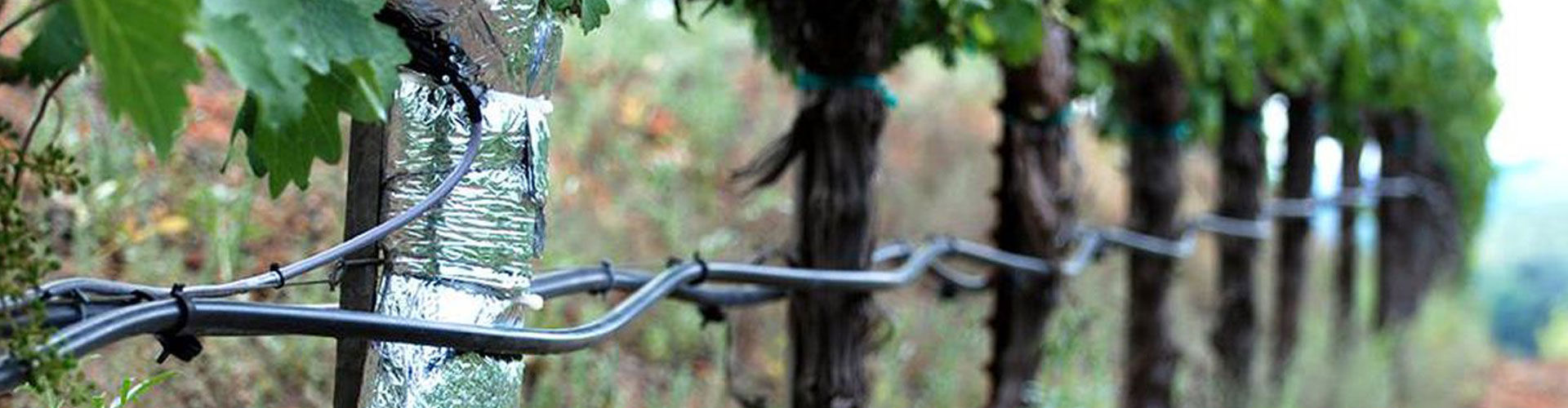 GeoVit Vineyard Services